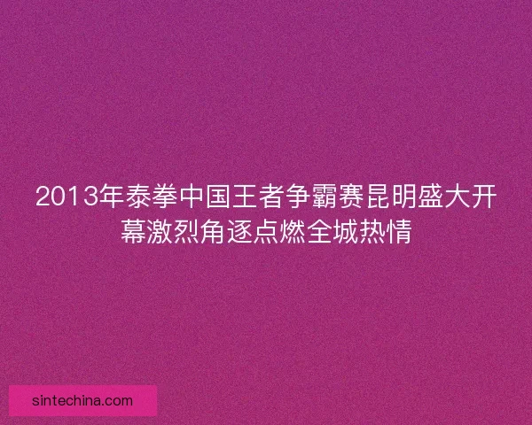 2013年泰拳中国王者争霸赛昆明盛大开幕激烈角逐点燃全城热情